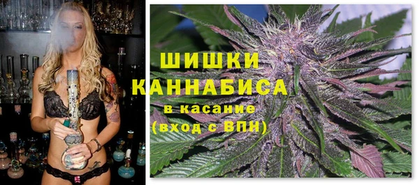 спайс Алзамай