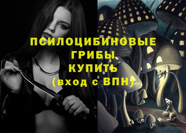 эйфоретик Алексин