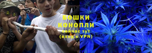 спайс Алзамай