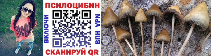 Галлюциногенные грибы GOLDEN TEACHER  Купить закладки  Валдай 