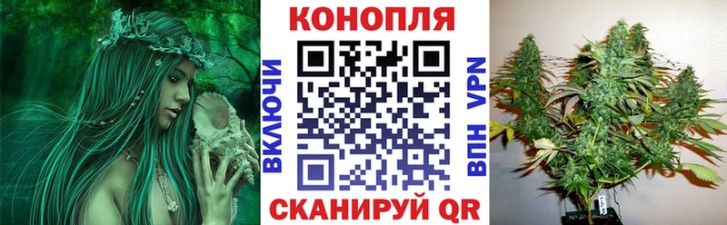 Канабис Bruce Banner  Купить где  Валдай 